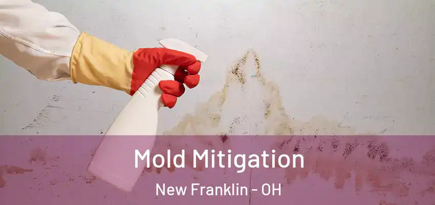  Mold Mitigation New Franklin - OH
