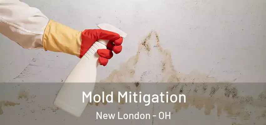 Mold Mitigation New London - OH