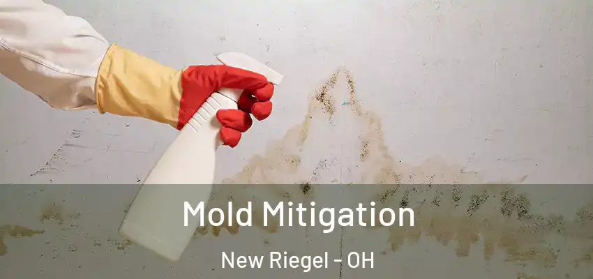  Mold Mitigation New Riegel - OH
