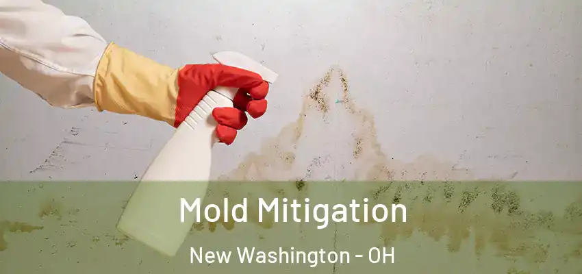  Mold Mitigation New Washington - OH