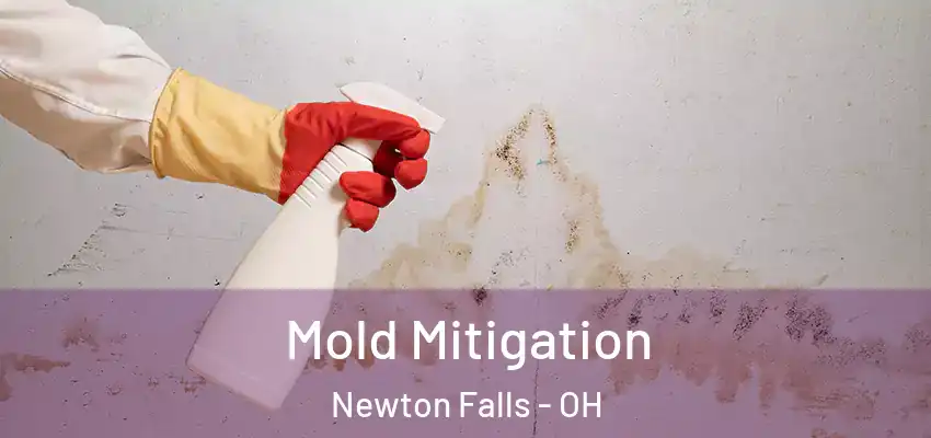  Mold Mitigation Newton Falls - OH