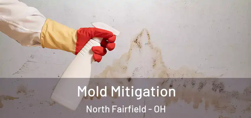  Mold Mitigation North Fairfield - OH