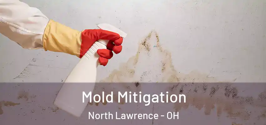  Mold Mitigation North Lawrence - OH
