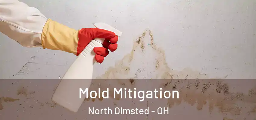 Mold Mitigation North Olmsted - OH