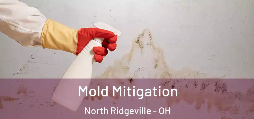 Mold Mitigation North Ridgeville - OH