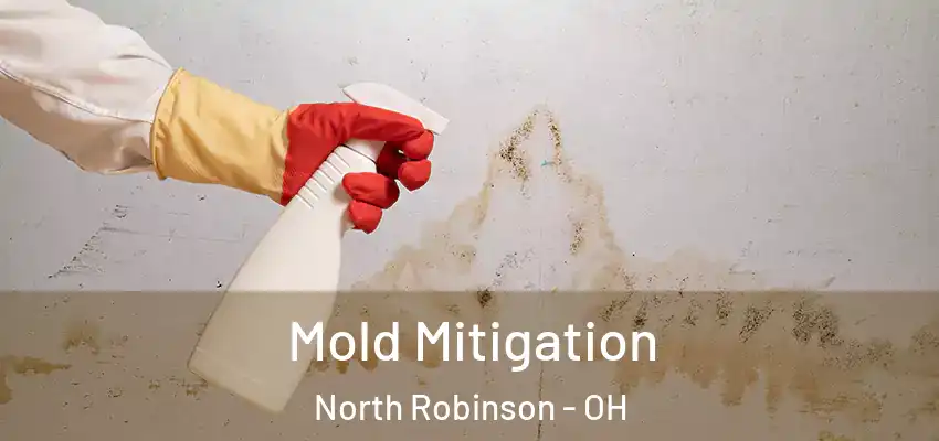  Mold Mitigation North Robinson - OH
