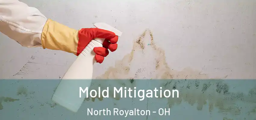 Mold Mitigation North Royalton - OH