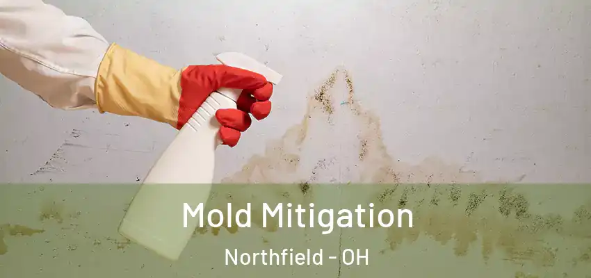  Mold Mitigation Northfield - OH