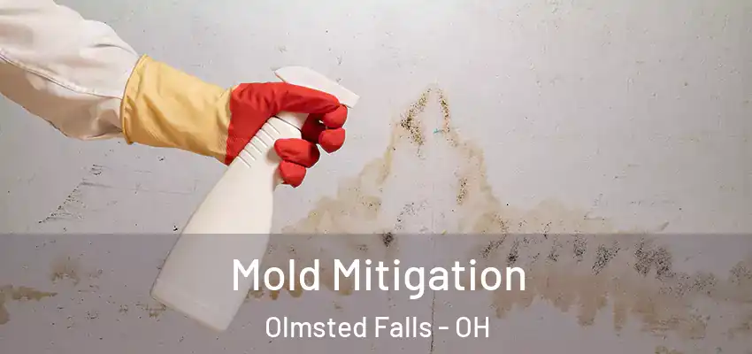  Mold Mitigation Olmsted Falls - OH