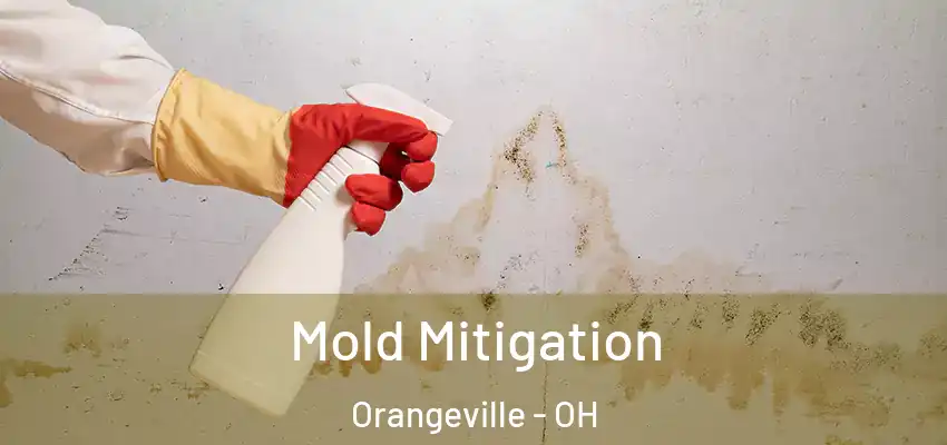  Mold Mitigation Orangeville - OH