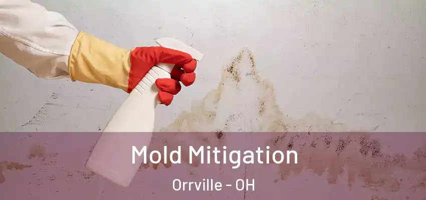  Mold Mitigation Orrville - OH