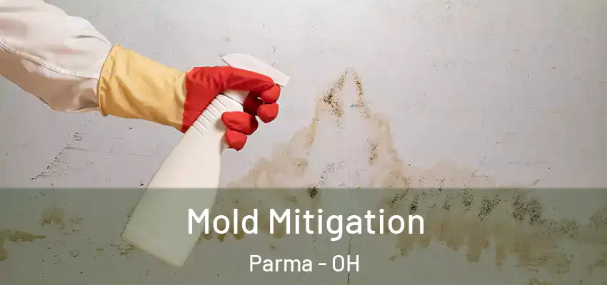 Mold Mitigation Parma - OH