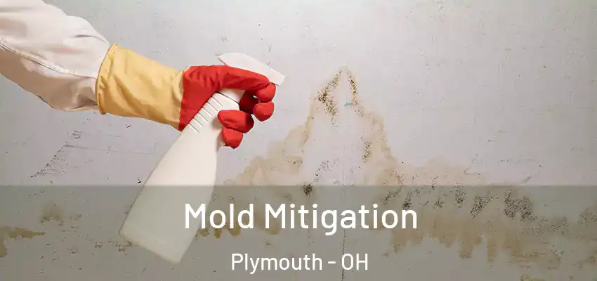 Mold Mitigation Plymouth - OH