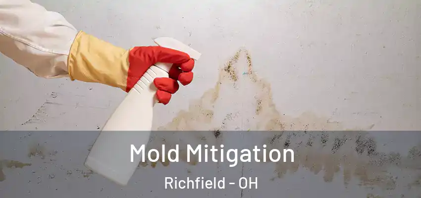  Mold Mitigation Richfield - OH