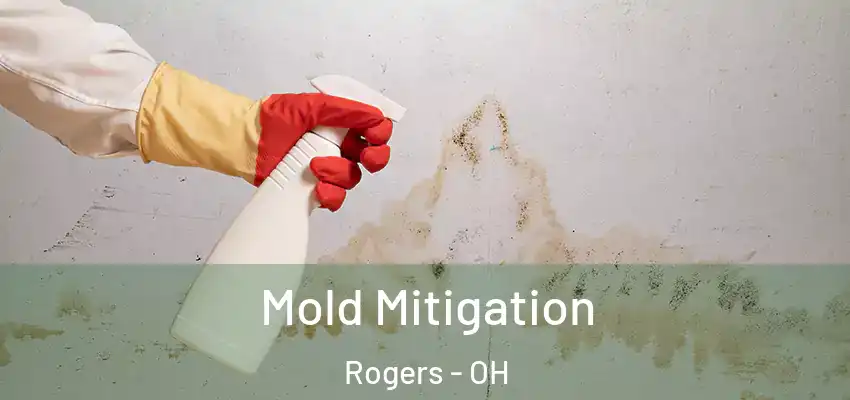  Mold Mitigation Rogers - OH