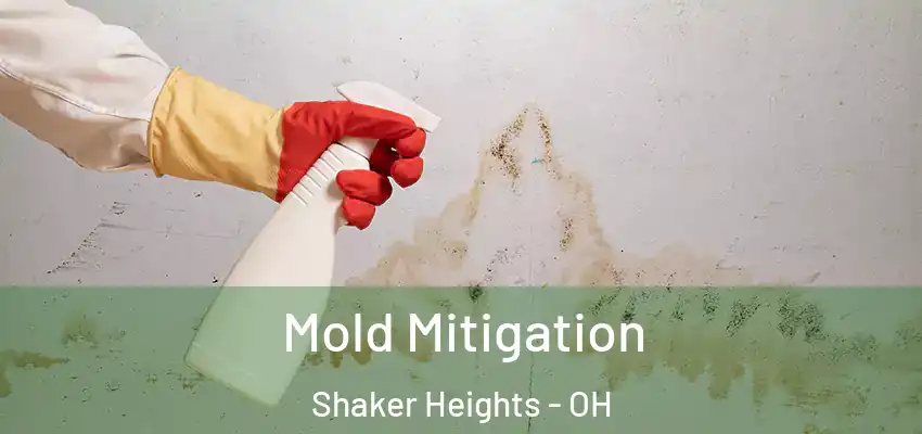  Mold Mitigation Shaker Heights - OH