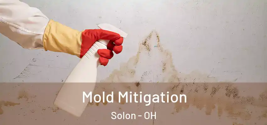 Mold Mitigation Solon - OH