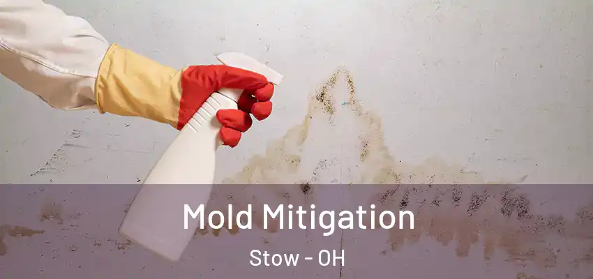  Mold Mitigation Stow - OH