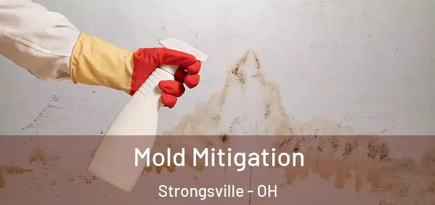  Mold Mitigation Strongsville - OH