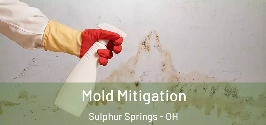 Mold Mitigation Sulphur Springs - OH