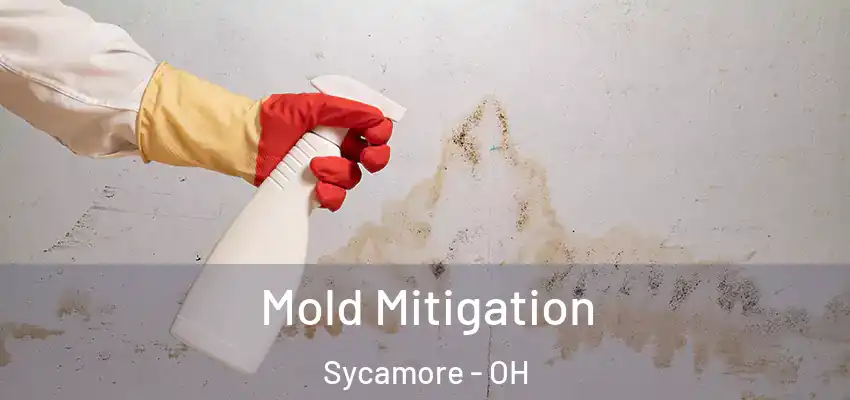  Mold Mitigation Sycamore - OH