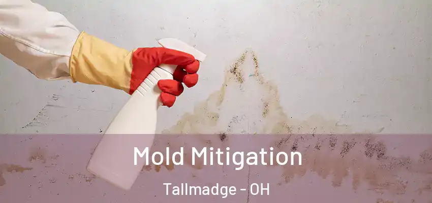  Mold Mitigation Tallmadge - OH
