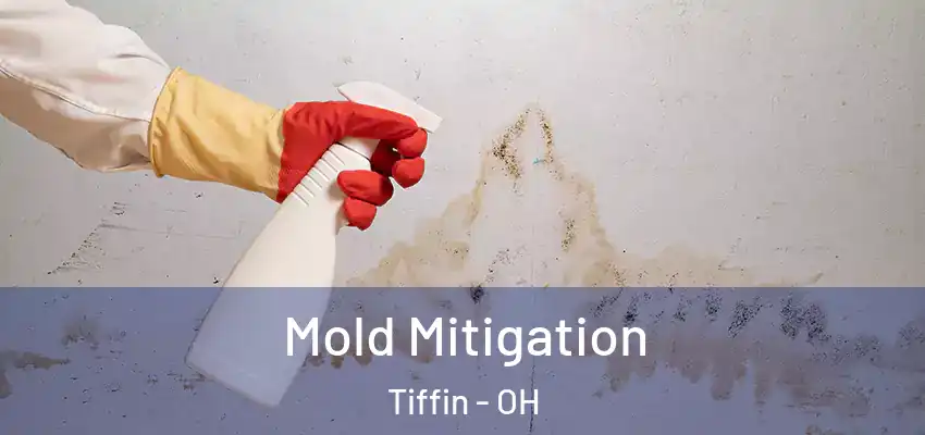  Mold Mitigation Tiffin - OH