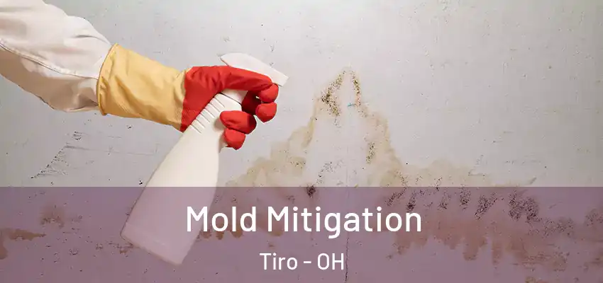  Mold Mitigation Tiro - OH