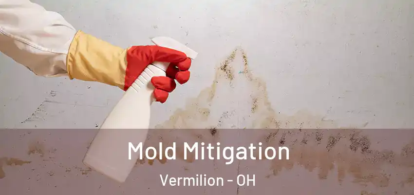  Mold Mitigation Vermilion - OH