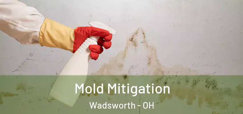  Mold Mitigation Wadsworth - OH