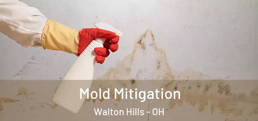 Mold Mitigation Walton Hills - OH