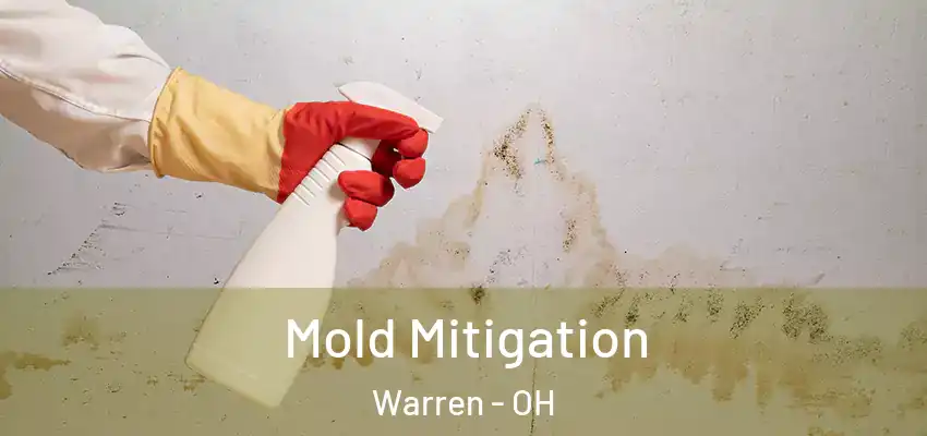  Mold Mitigation Warren - OH
