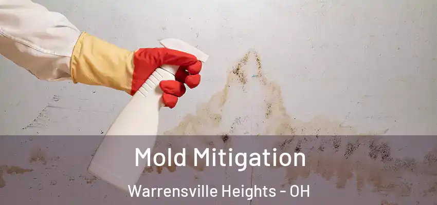 Mold Mitigation Warrensville Heights - OH