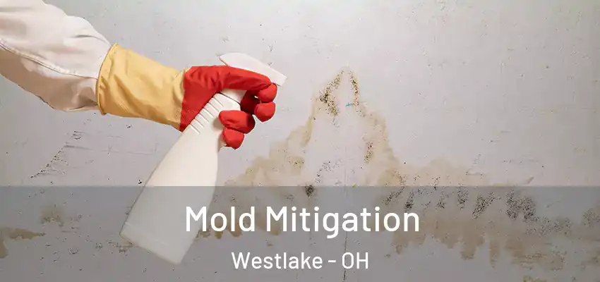  Mold Mitigation Westlake - OH