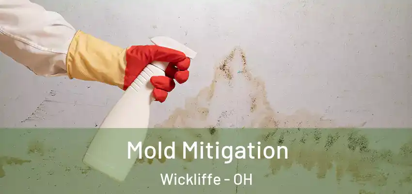  Mold Mitigation Wickliffe - OH
