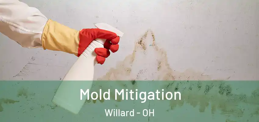 Mold Mitigation Willard - OH