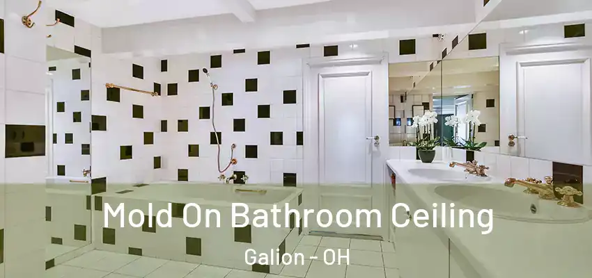 Mold On Bathroom Ceiling Galion - OH