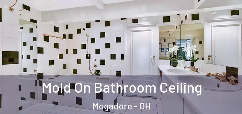 Mold On Bathroom Ceiling Mogadore - OH