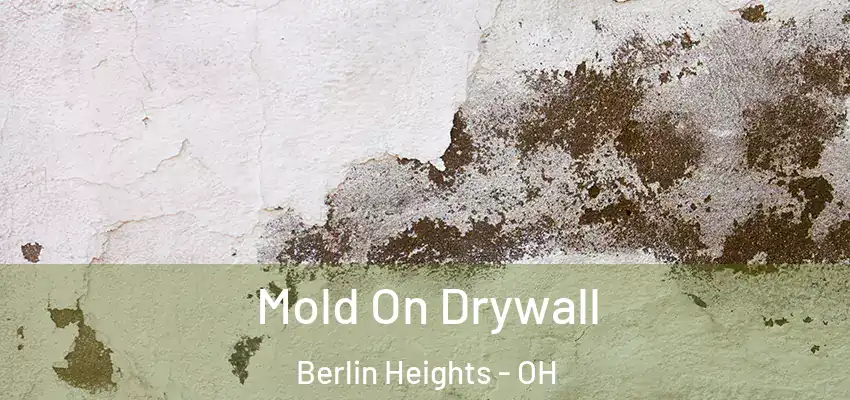 Mold On Drywall Berlin Heights - OH
