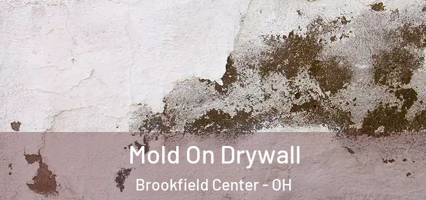  Mold On Drywall Brookfield Center - OH