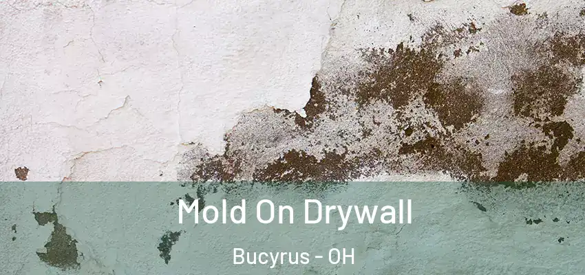 Mold On Drywall Bucyrus - OH