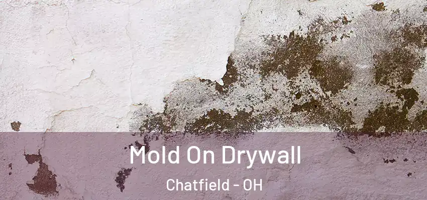 Mold On Drywall Chatfield - OH