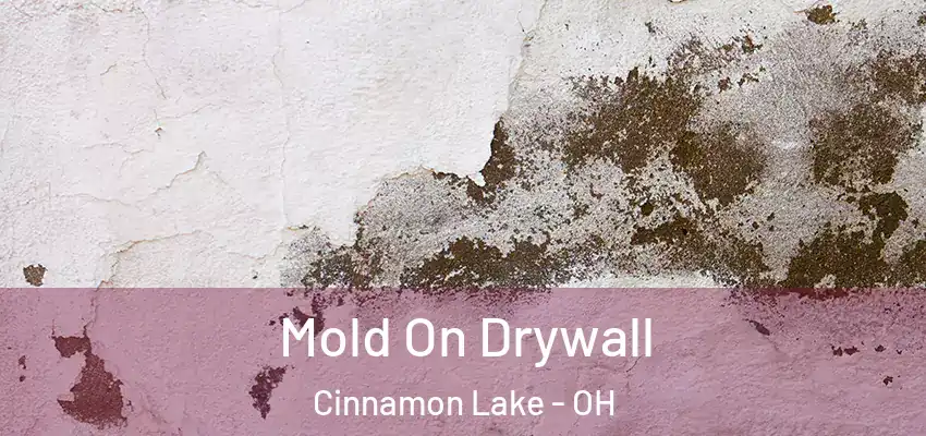  Mold On Drywall Cinnamon Lake - OH
