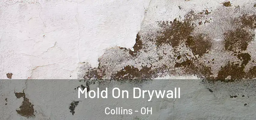 Mold On Drywall Collins - OH