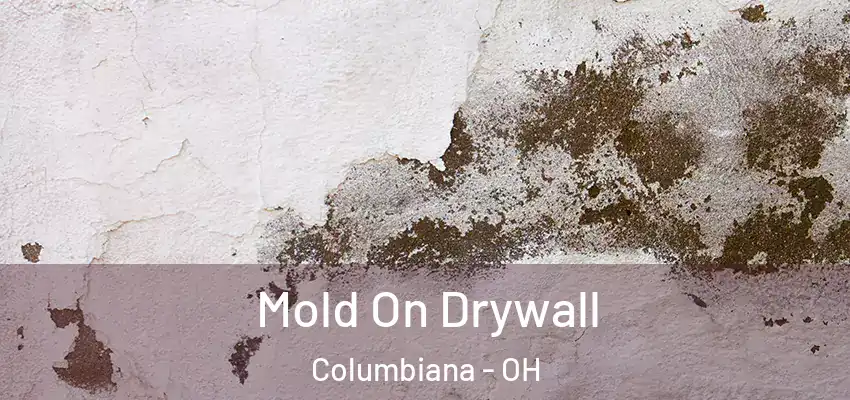  Mold On Drywall Columbiana - OH