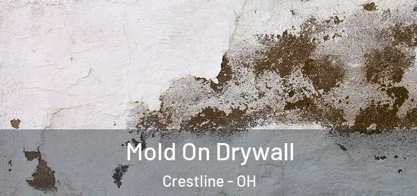  Mold On Drywall Crestline - OH
