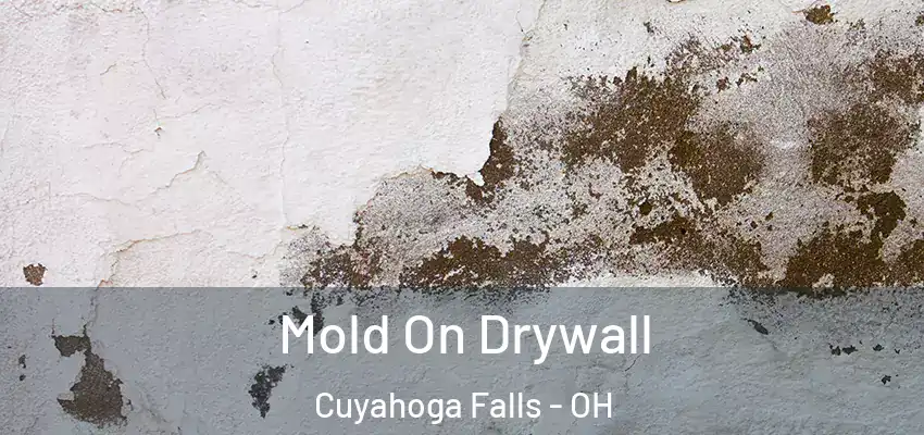  Mold On Drywall Cuyahoga Falls - OH