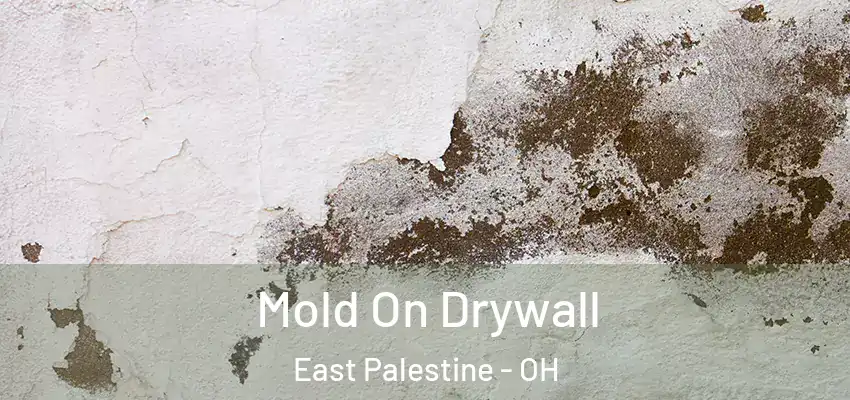  Mold On Drywall East Palestine - OH