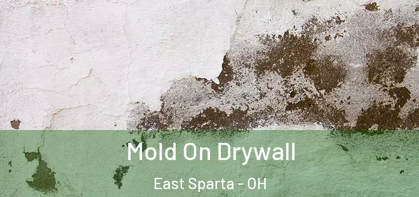  Mold On Drywall East Sparta - OH