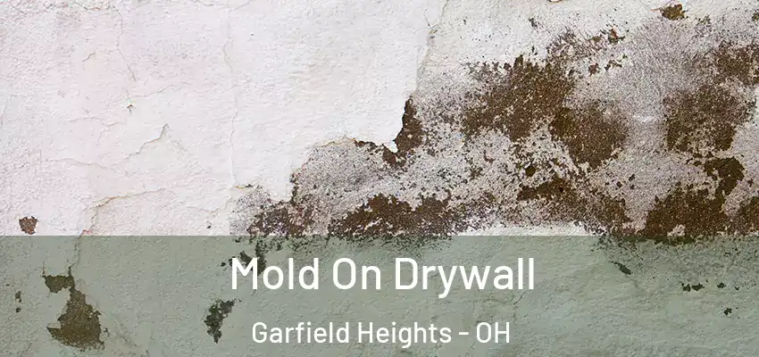 Mold On Drywall Garfield Heights - OH